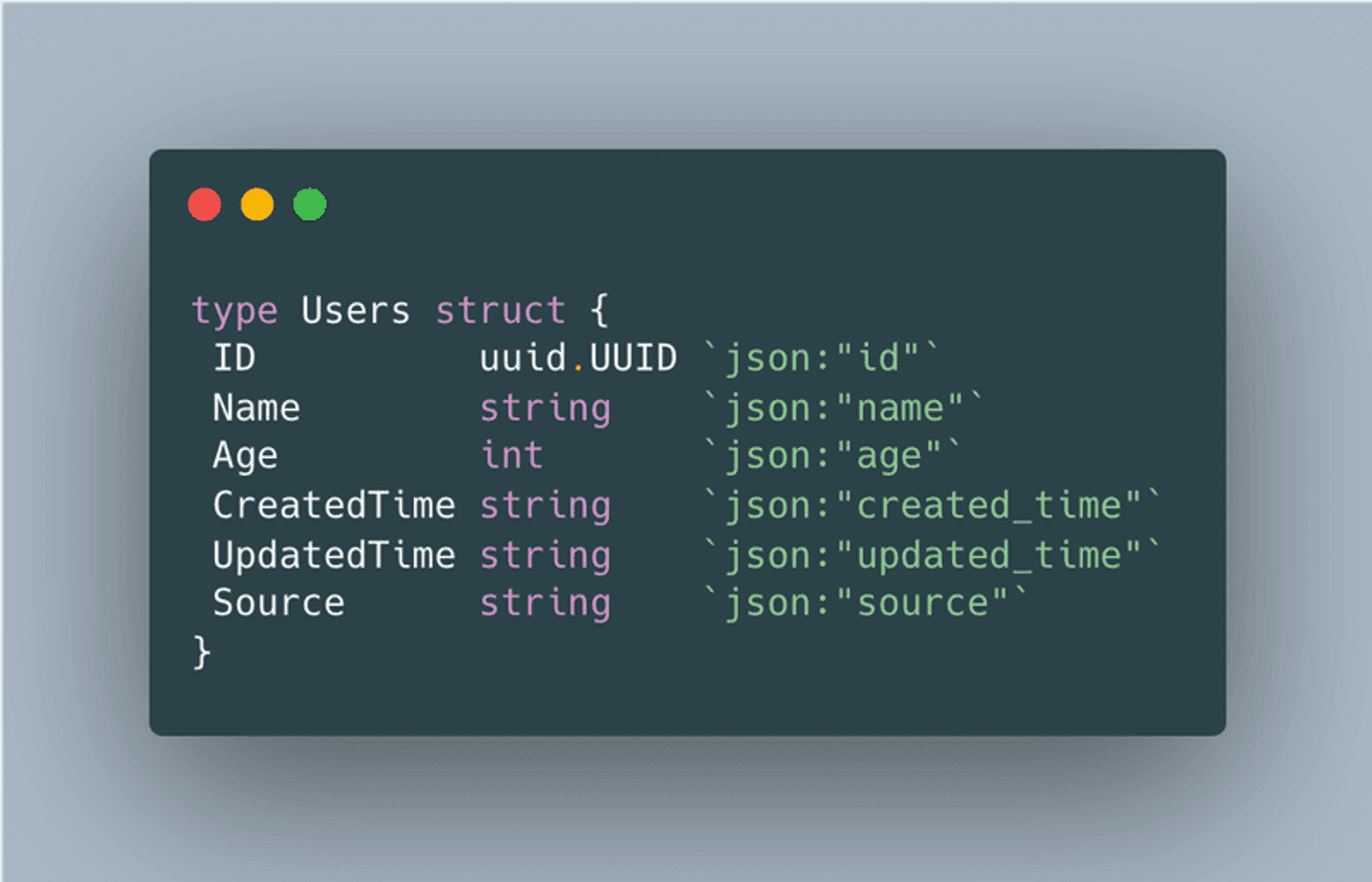 Code snippet to illustrate the Users struct.