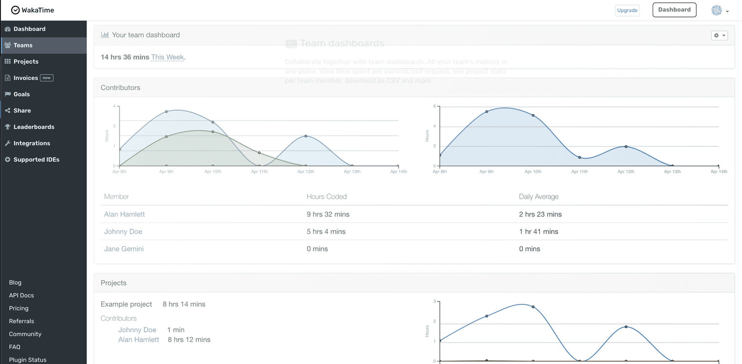 The WakaTime dashboard in a development environment.