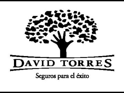 David Torres el arbol de la vida