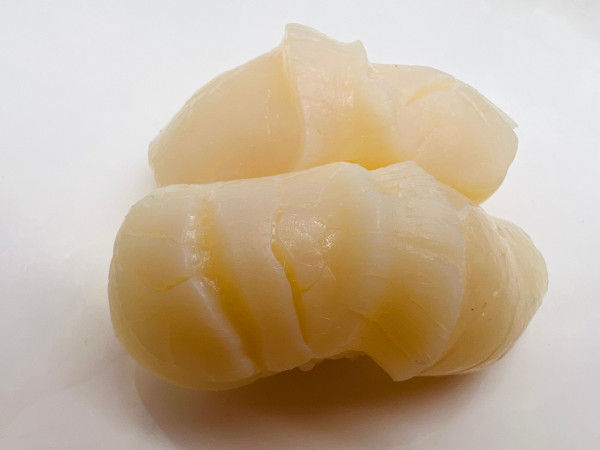 10N HOTATEGAI Petoncle /Scallop Nigiris (2mcx/2pcs + rice)