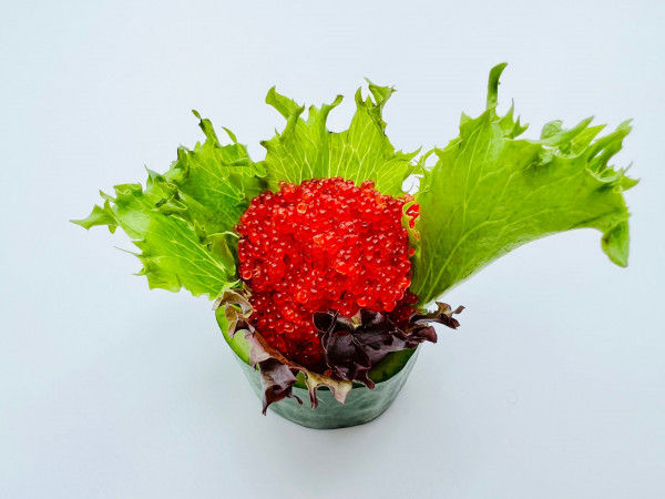 8S TOBIKO Caviar De poisson volant/ Flying Fish Roe Sashimis (1MCX Sans Riz)