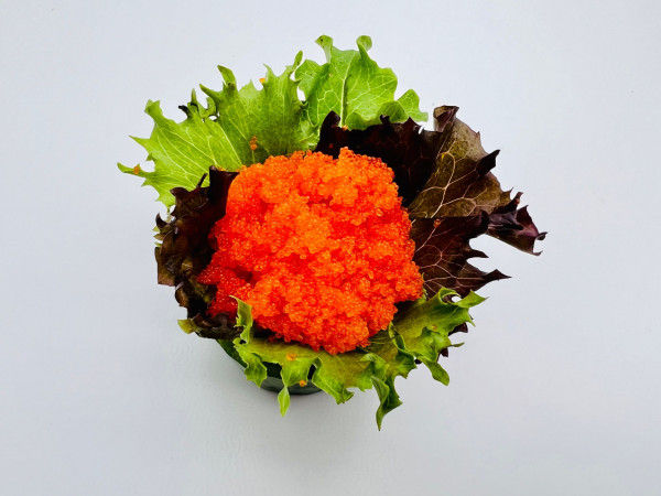 9S MASAGO Caviar D'eperlan / Capelin Roe Sashimis (1MCX Sans Riz)