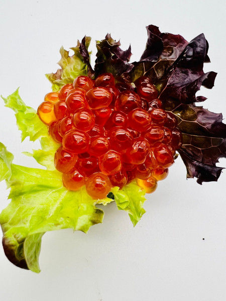 17S IKURA/SALMON ROE