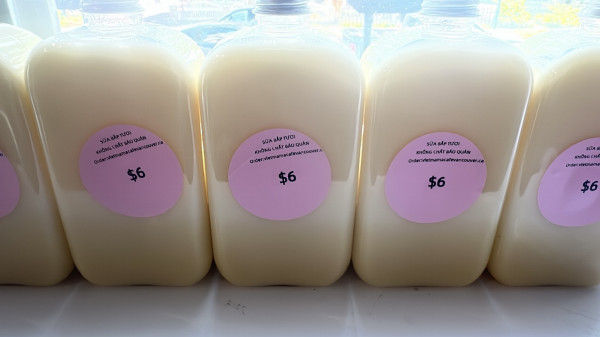 #.FRESH CORN MILK (350ml)/SỮA BẮP TƯƠI NGUYÊN CHẤT (350ml)