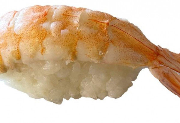 N2. Ebi