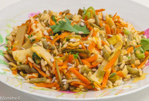 RIZ FRIT LÉGUMES VARIÉS