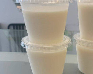 Yaourt/Yogurt (Sữa Chua)