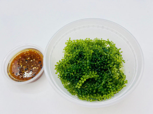 86. CAVIAR VERT DE L'OCEAN