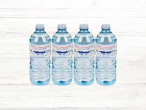 Bottled Water (500 ML)