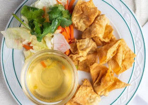 Wonton frits (6mcx)