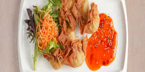 E4. Wonton Frit (6mcx)