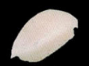 5. Tai