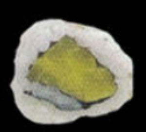 24. Oshinko