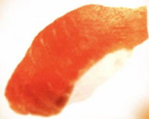 1. Kunsei Syake