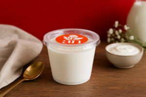 Vietnamese yogurt