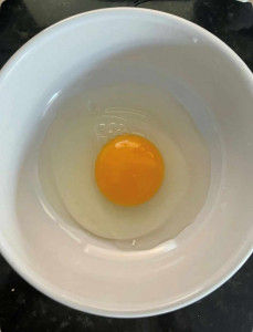 Egg