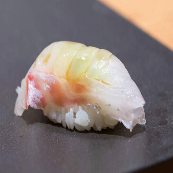 Snapper