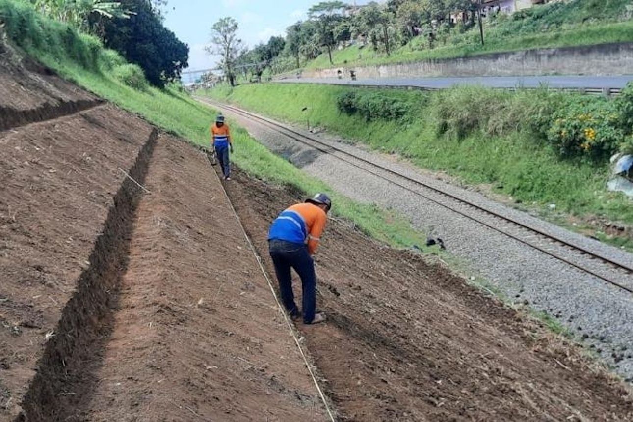 KAI Tanam 100 Ribu Lebih Pohon! Ini Inovasi Hijau Transportasi yang Jarang Diketahui!