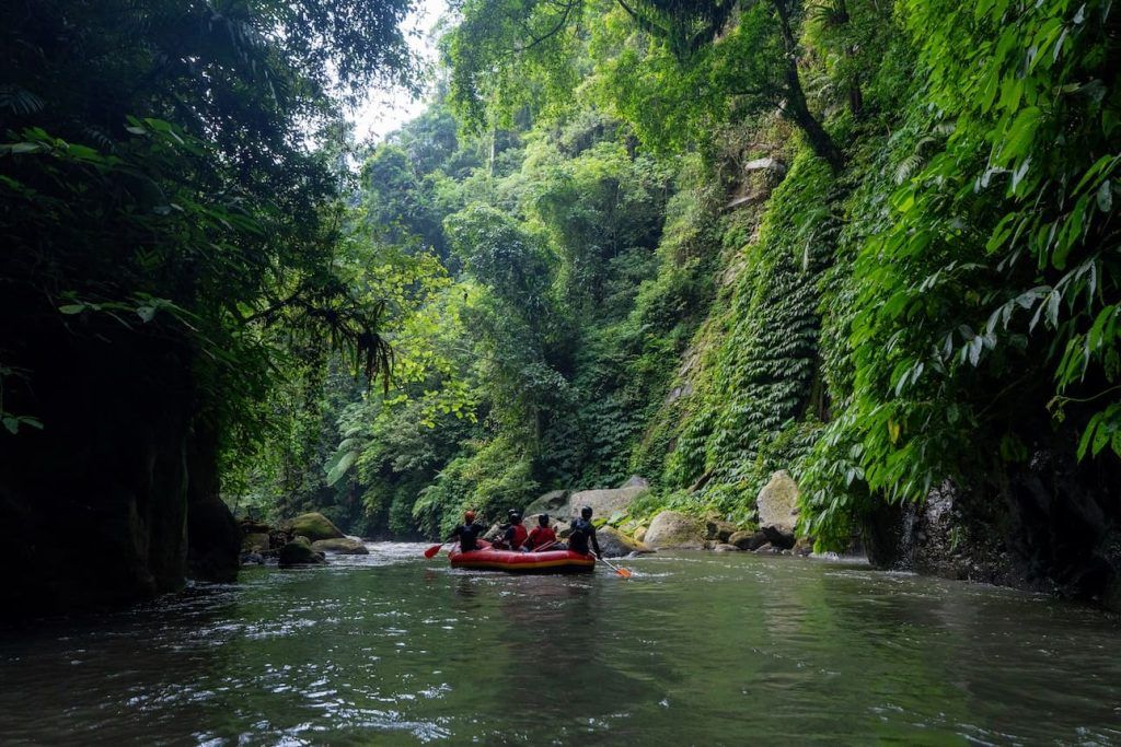 Cobain Rafting di Sungai Ayung, Tempat Rafting Terbaik di Ubud