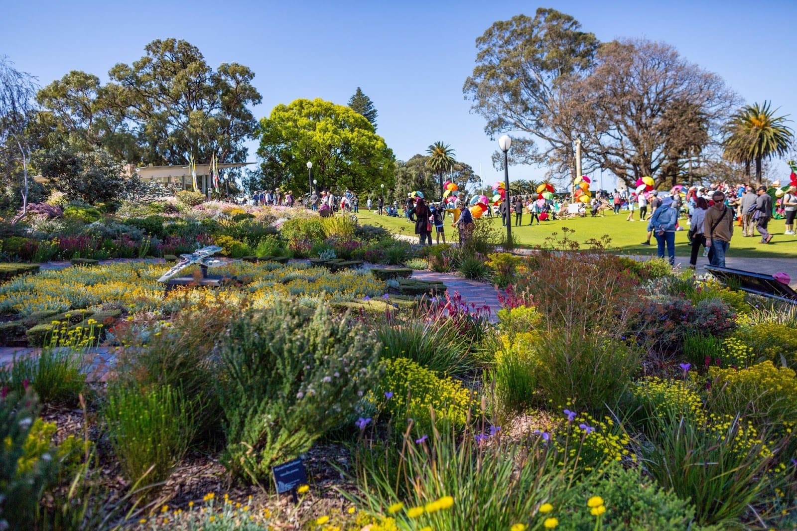 Everlasting Kings Park Festival di Perth_3_11zon