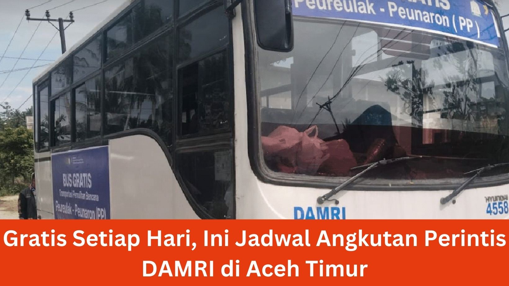Gratis Setiap Hari, Ini Jadwal Angkutan Perintis DAMRI di Aceh Timur