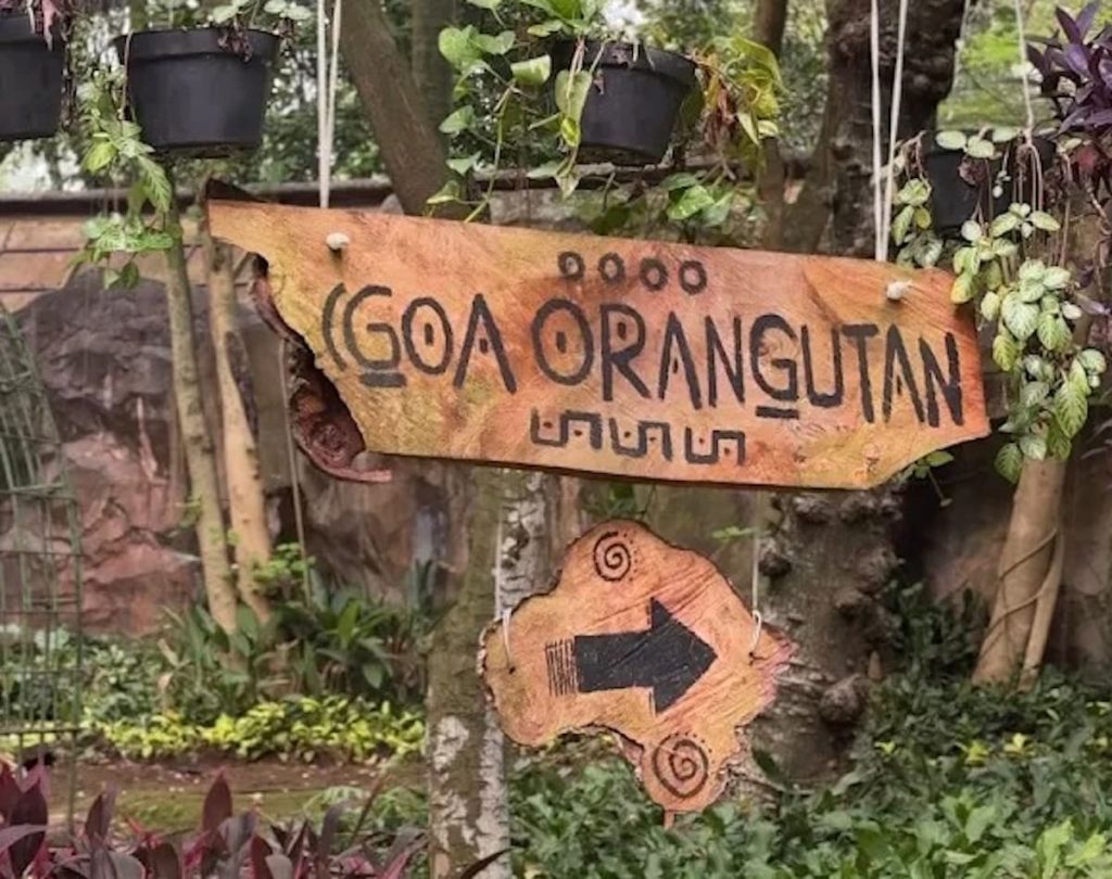 Syarat Masuk Ragunan Gratis saat HUT Jakarta, Cukup Tunjukkan Ini! 1 Syarat Masuk Ragunan Gratis saat HUT Jakarta, Cukup Tunjukkan Ini!