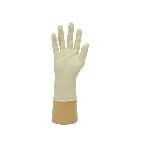 Shield Pdr Free Latex Glove GD05/XL