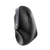 Cherry MW 4500 Ergonomic Wireless Mouse Black JW-4500