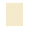 Decadry Parchment A4 Letterhead Paper 95gsm Champagne (Pack of 100) PCL1601