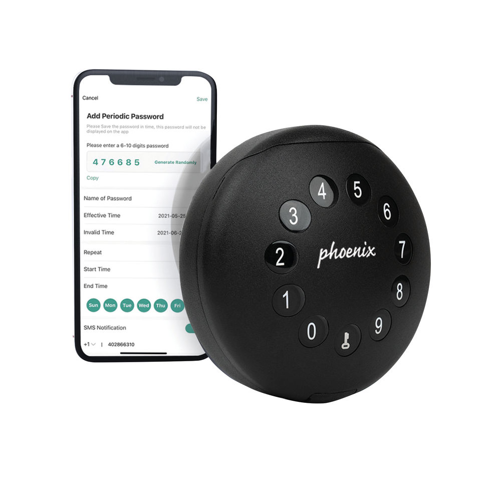 Phoenix Palm Smart Black Key Safe