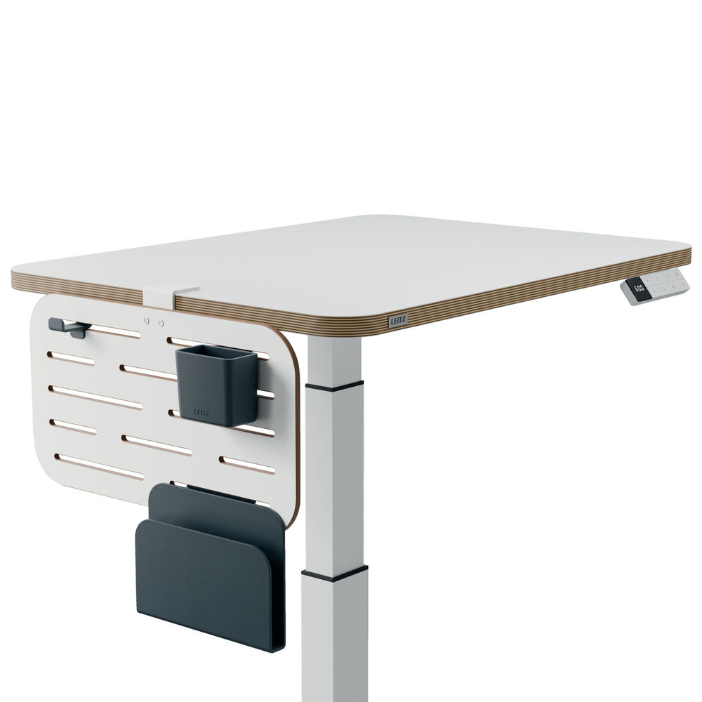 Leitz Ergo Small Pegboard Desk Organiser 65480000