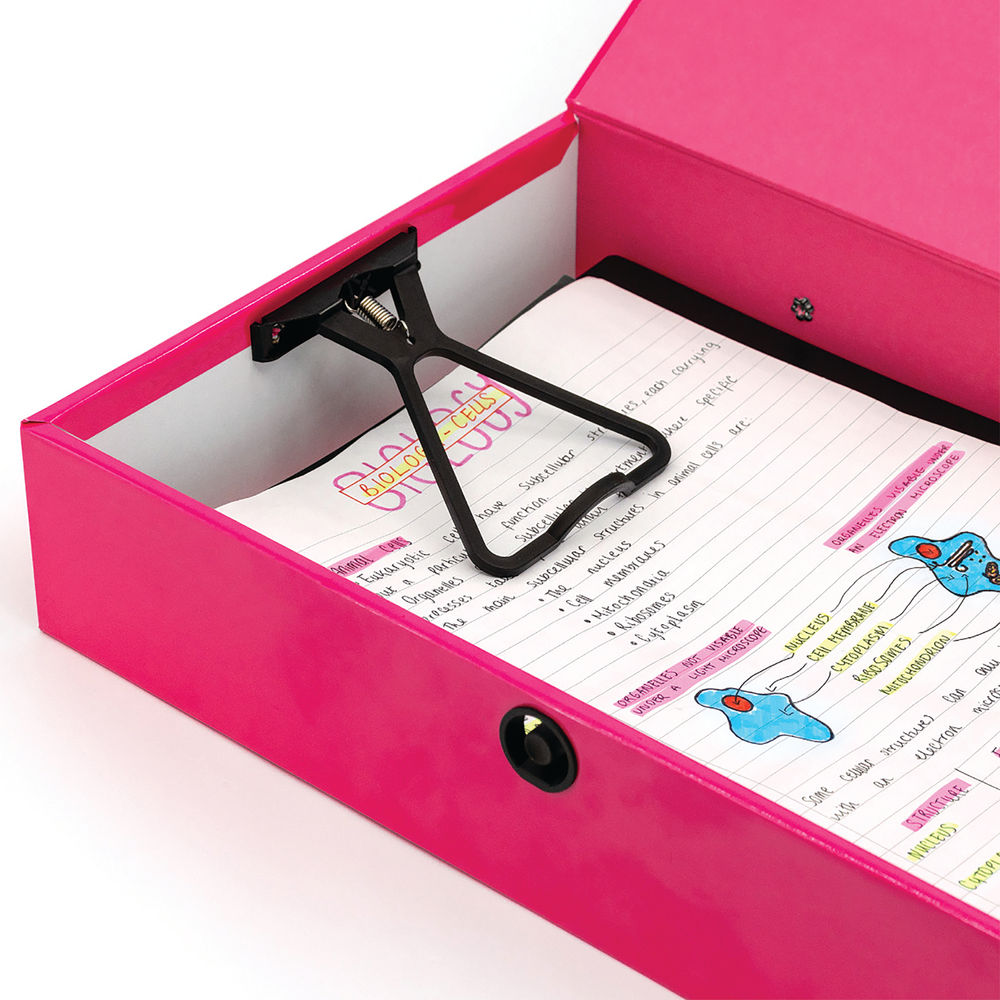 Pukka Brights Box File Foolscap Assorted (Pack of 10)