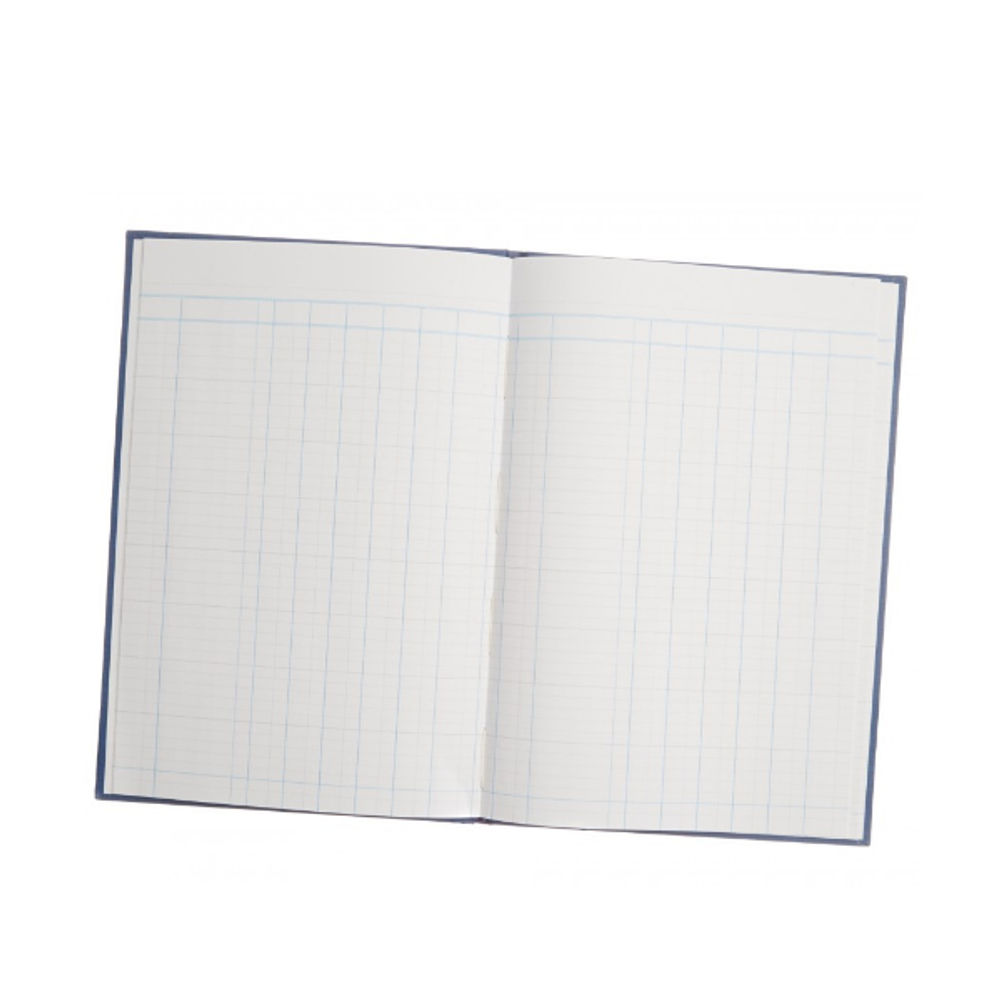 Guildhall Blue 31 Series 6 Cash Columns Account Book