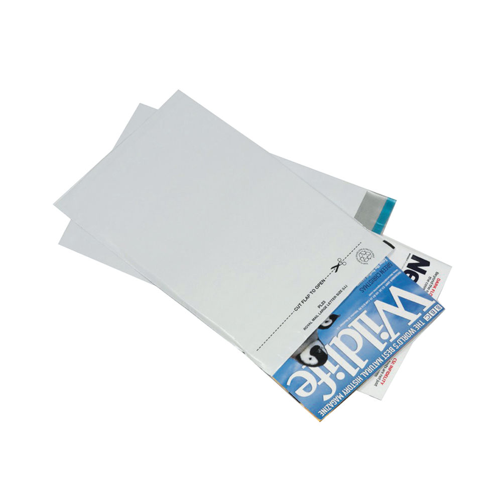 Go Secure Lightweight C4 Opaque Polythene Envelopes (Pack of 100) - PB11123
