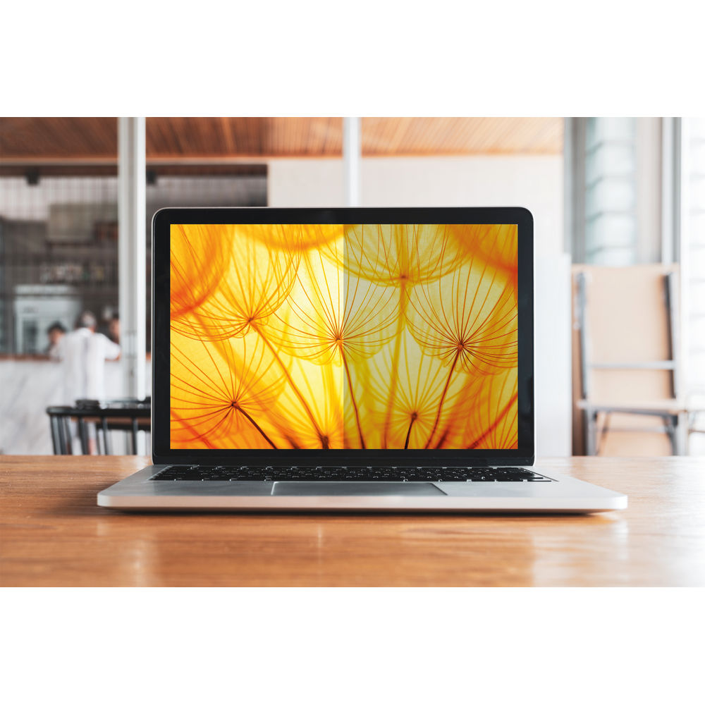 3M Bright Screen Privacy Filter for 12.5 Inch Laptop 16:9