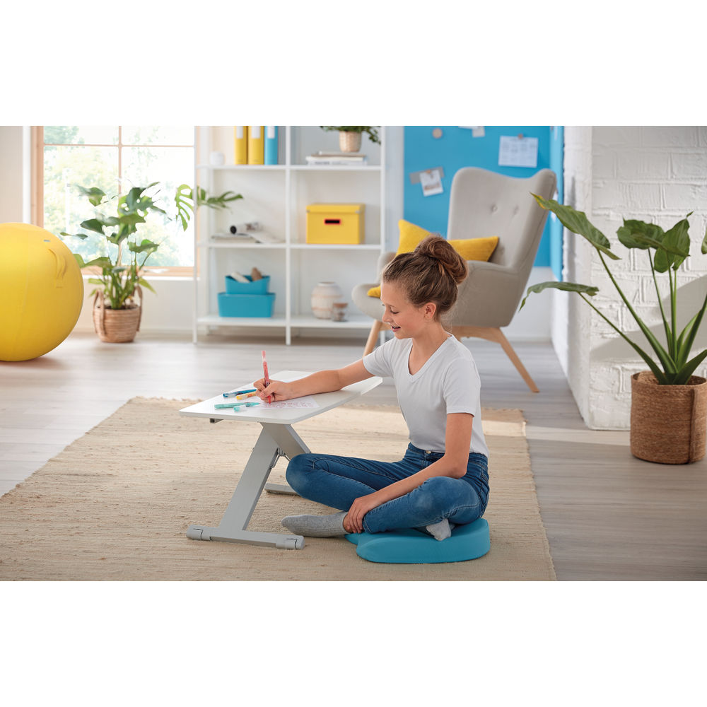 Leitz Ergo Cosy Monitor Riser Standing Desk Converter