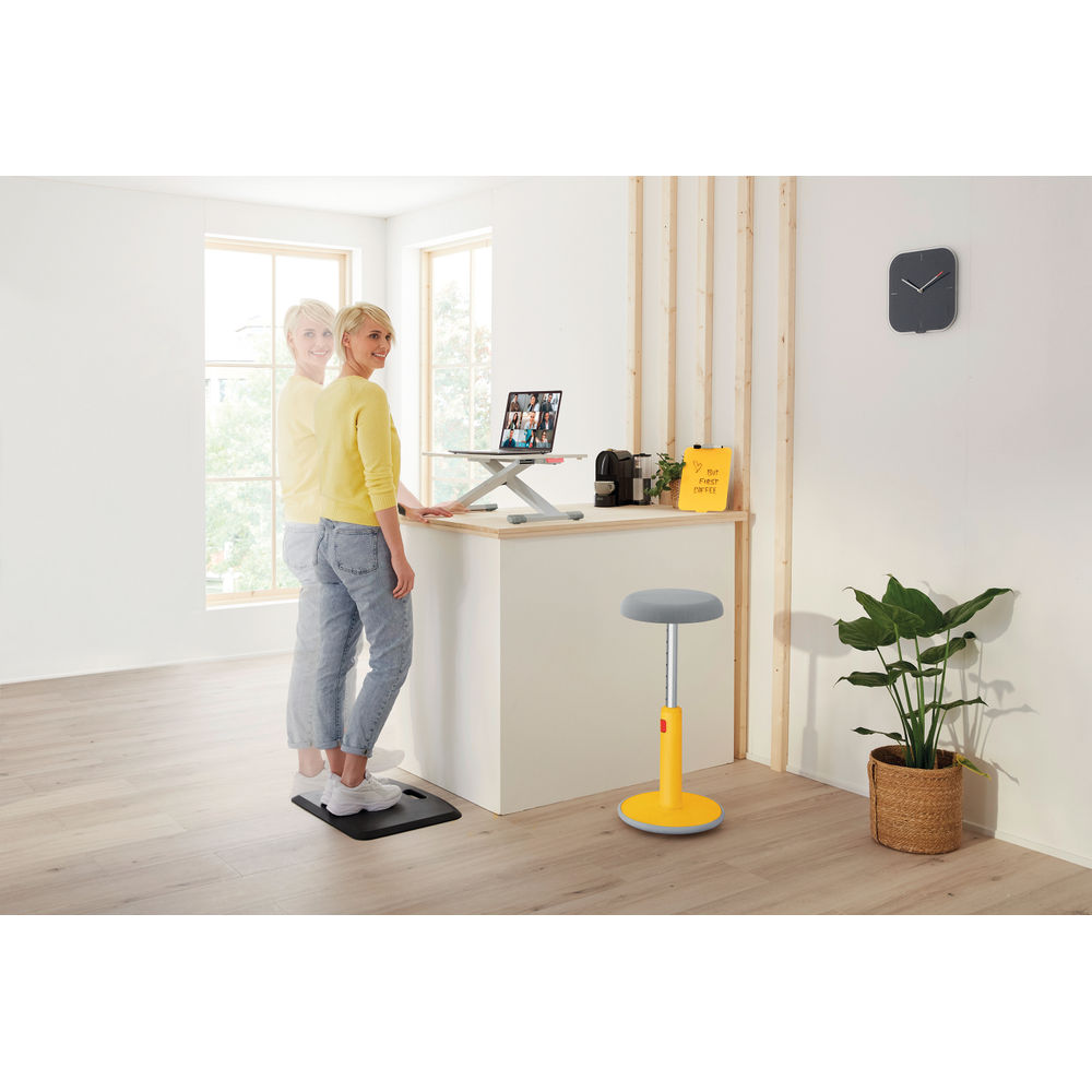 Leitz Ergo Cosy Monitor Riser Standing Desk Converter