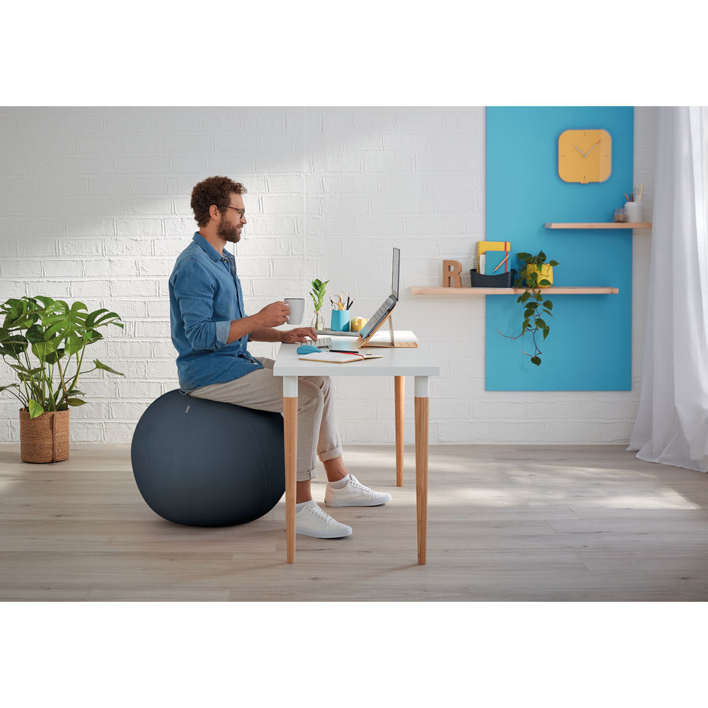 Leitz Ergo Cosy Active Sitting Ball Velvet Grey