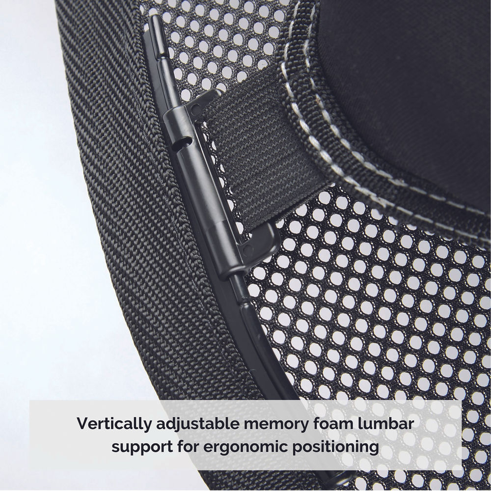 Fellowes Professional Series Mesh Back Support