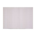 Rhino Book-Keeping Book Ledger/Double Entry Ruling 32 Page A4 (Pack of 144) BKL-4 CTN