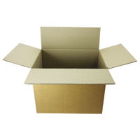 Double Wall Dispatch Cartons, Pack of 15