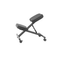 Jemini Kneeling Chair