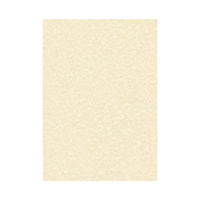 View more details about Decadry Parchment A4 Letterhead Paper 95gsm Champagne (Pack of 100)