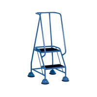 View more details about Light Blue 2 Tread Steps (125kg Capacity, W380 x D540 x H1185mm) 385130