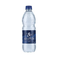 View more details about Radnor Hills Still Mineral Water PET 500ml (Pack of 24)