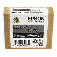 View more details about Epson T5807 Light Black Inkjet Cartridge C13T580700 / T5807