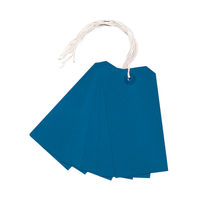 View more details about Strung Tag 120x60mm Blue (1000 Pack) KF01625