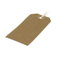 View more details about Basics Strung Tags Buff, 82mm x 41mm 279-3558
