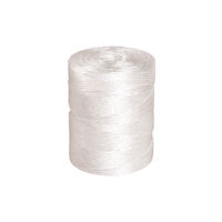 View more details about Flexocare Polypropylene Twine 2.25 kg White 76PP450/2