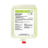 EVANS HND & BDY WASH FOAM CITR 1L P6